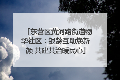 东营区黄河路街道物华社区：银龄互助焕新颜 共建共治暖民心