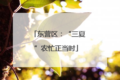东营区：“三夏”农忙正当时