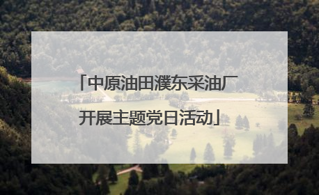 中原油田濮东采油厂开展主题党日活动