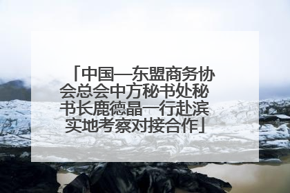 中国—东盟商务协会总会中方秘书处秘书长鹿德晶一行赴滨实地考察对接合作