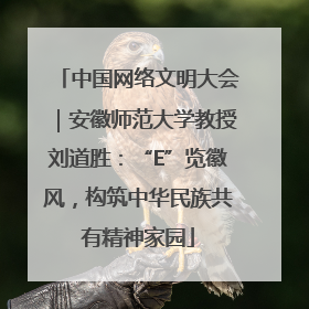 中国网络文明大会｜安徽师范大学教授刘道胜：“E”览徽风，构筑中华民族共有精神家园