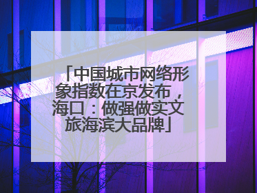 中国城市网络形象指数在京发布，海口：做强做实文旅海滨大品牌