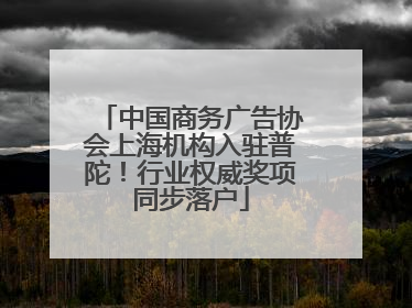 中国商务广告协会上海机构入驻普陀！行业权威奖项同步落户