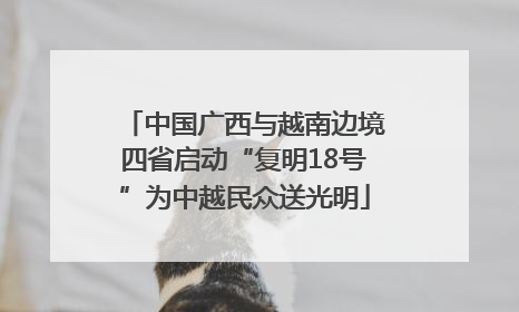 中国广西与越南边境四省启动“复明18号”为中越民众送光明