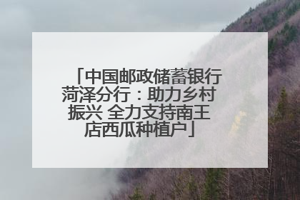 中国邮政储蓄银行菏泽分行：助力乡村振兴 全力支持南王店西瓜种植户