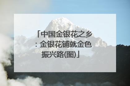 中国金银花之乡：金银花铺就金色振兴路(图)