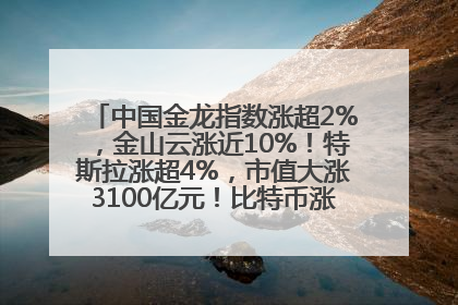 中国金龙指数涨超2%，金山云涨近10%！特斯拉涨超4%，市值大涨3100亿元！比特币涨回11万美元关口