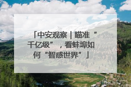 中安观察｜瞄准“千亿级”，看蚌埠如何“智感世界”