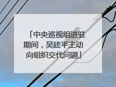 中央巡视组进驻期间，吴建平主动向组织交代问题