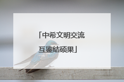 中希文明交流互鉴结硕果