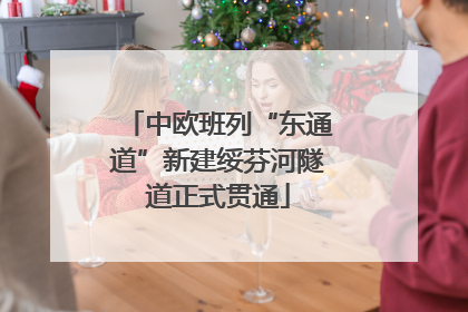 中欧班列“东通道”新建绥芬河隧道正式贯通
