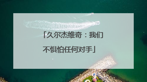 久尔杰维奇：我们不惧怕任何对手
