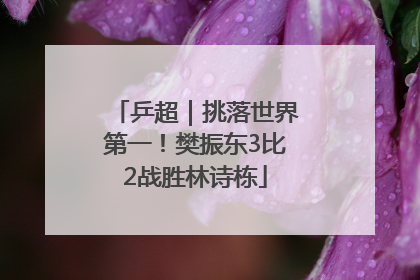 乒超｜挑落世界第一！樊振东3比2战胜林诗栋