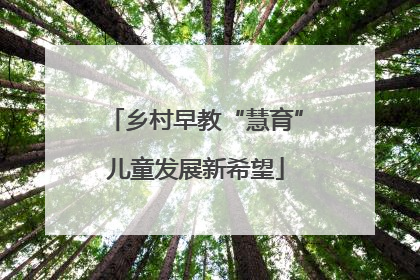 乡村早教“慧育”儿童发展新希望