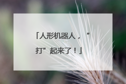 人形机器人，“打”起来了！