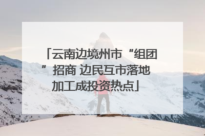 云南边境州市“组团”招商 边民互市落地加工成投资热点