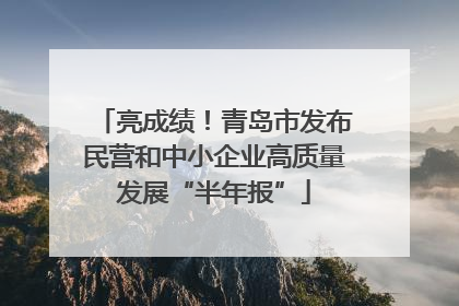 亮成绩！青岛市发布民营和中小企业高质量发展“半年报”