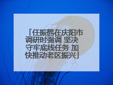 任振鹤在庆阳市调研时强调 坚决守牢底线任务 加快推动老区振兴