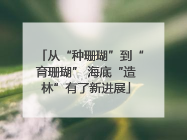 从“种珊瑚”到“育珊瑚” 海底“造林”有了新进展