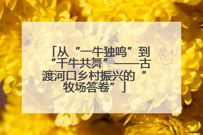 从“一牛独鸣”到“千牛共舞”——古渡河口乡村振兴的“牧场答卷”