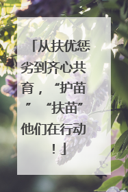 从扶优惩劣到齐心共育，“护苗”“扶苗”他们在行动！