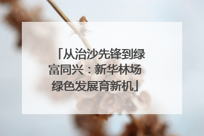 从治沙先锋到绿富同兴：新华林场绿色发展育新机