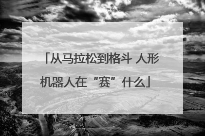 从马拉松到格斗 人形机器人在“赛”什么