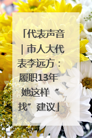代表声音｜市人大代表李远方：履职13年 她这样“找”建议