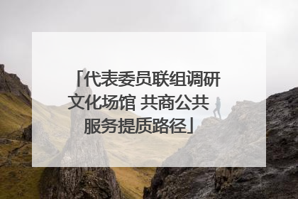 代表委员联组调研文化场馆 共商公共服务提质路径