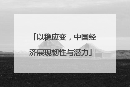 以稳应变，中国经济展现韧性与潜力