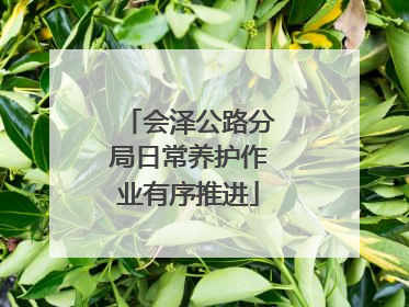 会泽公路分局日常养护作业有序推进