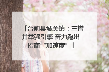 台前县城关镇：三措并举强引擎 奋力跑出招商“加速度”