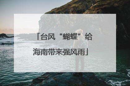 台风“蝴蝶”给海南带来强风雨