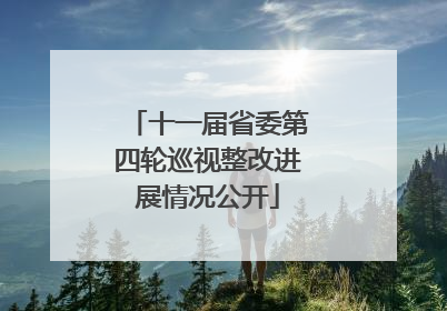 十一届省委第四轮巡视整改进展情况公开