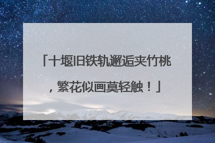 十堰旧铁轨邂逅夹竹桃，繁花似画莫轻触！