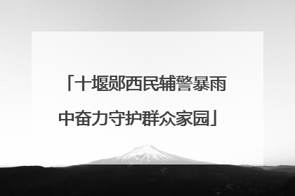 十堰郧西民辅警暴雨中奋力守护群众家园