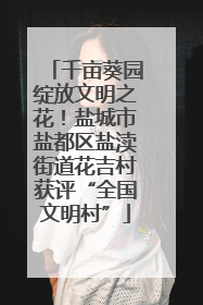 千亩葵园绽放文明之花！盐城市盐都区盐渎街道花吉村获评“全国文明村”