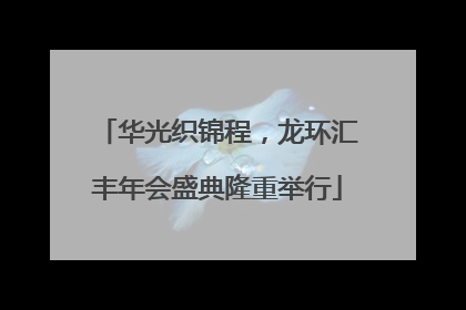 华光织锦程，龙环汇丰年会盛典隆重举行