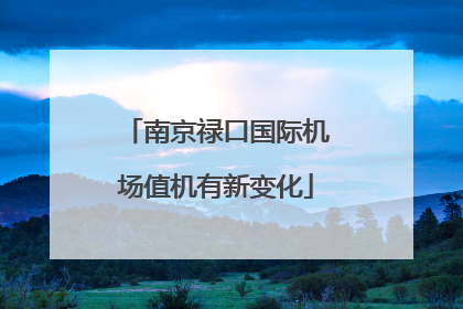 南京禄口国际机场值机有新变化