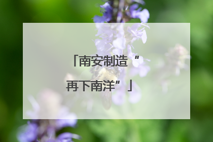 南安制造“再下南洋”