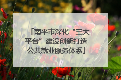 南平市深化“三大平台”建设创新打造公共就业服务体系