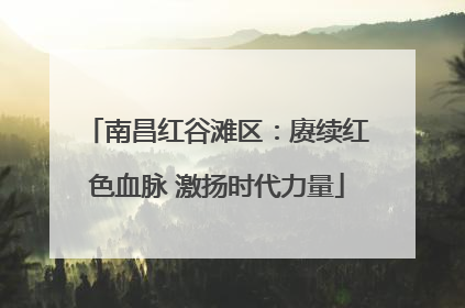 南昌红谷滩区：赓续红色血脉 激扬时代力量