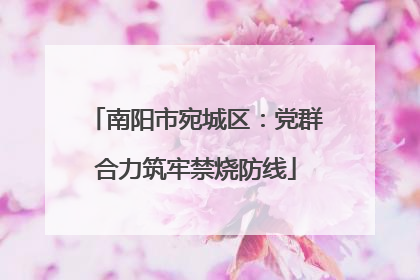南阳市宛城区：党群合力筑牢禁烧防线