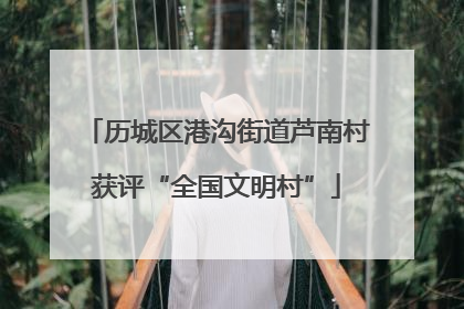历城区港沟街道芦南村获评“全国文明村”
