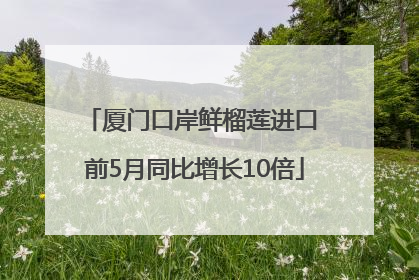 厦门口岸鲜榴莲进口 前5月同比增长10倍