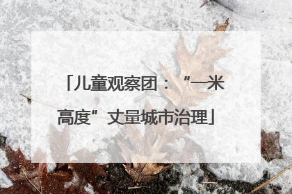 儿童观察团：“一米高度”丈量城市治理