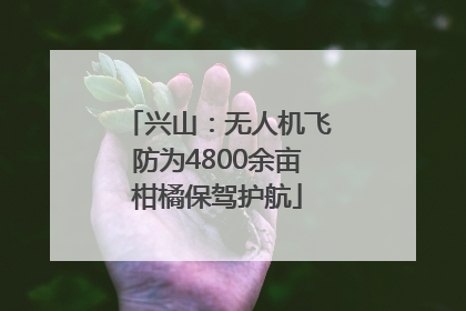 兴山：无人机飞防为4800余亩柑橘保驾护航