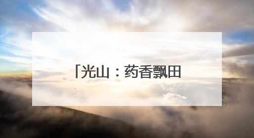 光山：药香飘田野 铺就富民路