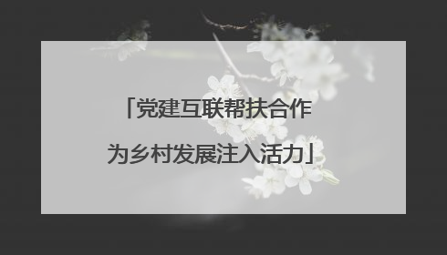 党建互联帮扶合作 为乡村发展注入活力