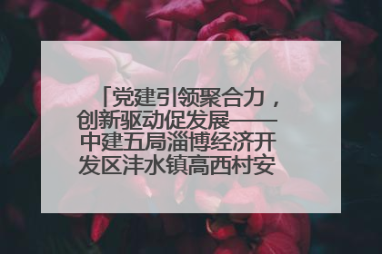 党建引领聚合力，创新驱动促发展——中建五局淄博经济开发区沣水镇高西村安置项目建设纪实
